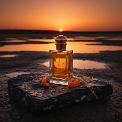 Terre d'Hermès: O Aroma Masculino Inesquecível