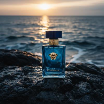 Versace Dylan Blue: O Perfume Masculino Definitivo?